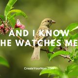 2501 And I Know He Watches Me