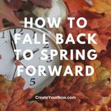 2847 How to Fall Back to Spring Forward