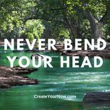 2351 Never Bend Your Head