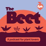 Talking Tomatoes With The Old Farmer’s Almanac