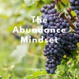 849 The Abundance Mindset