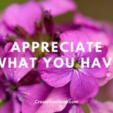 2033 Appreciate What You Have