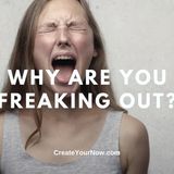 2406 Why Are You Freaking Out?