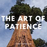 1190 The Art of Patience