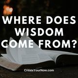 1924 Where Does Wisdom Come From?