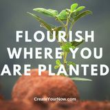 1891 Flourish Where You Are Planted