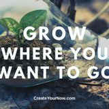2005 Grow Where You Want to Go