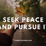 2496 Seek Peace and Pursue It
