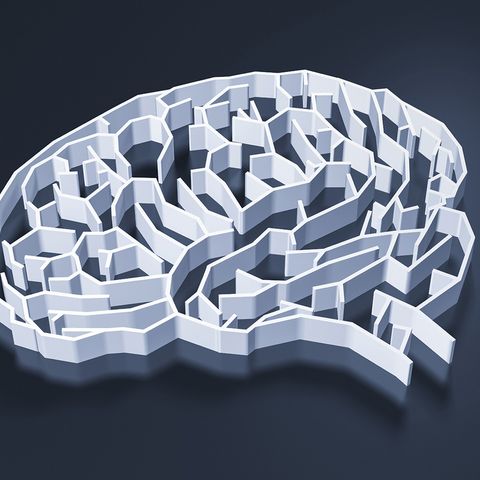 The Unknown Brain