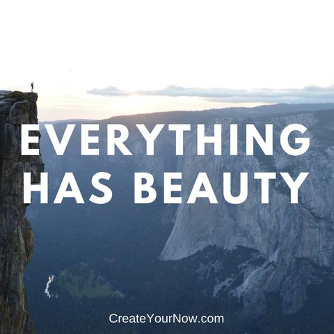 1144 Everything Has Beauty