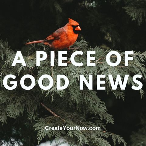 2624 A Piece of Good News