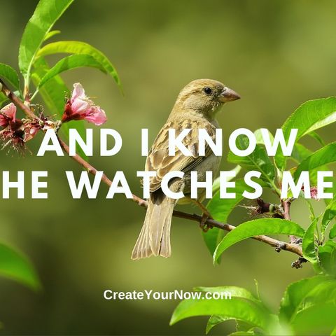 2501 And I Know He Watches Me