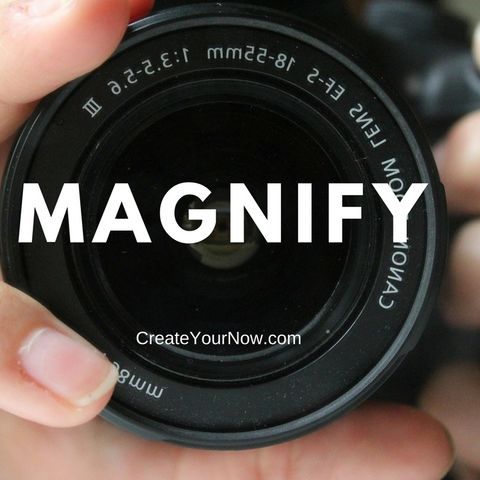 864 Magnify