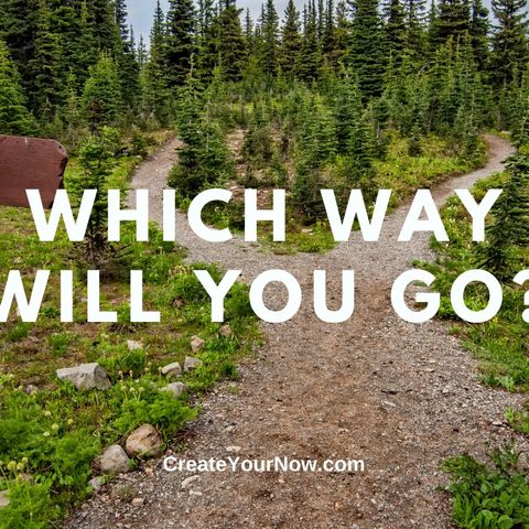 2173 Which Way Will You Go?