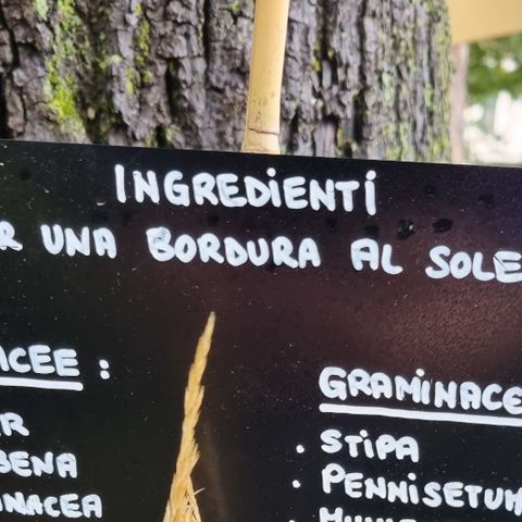 Il giardino segreto - 
            La magia delle perenni