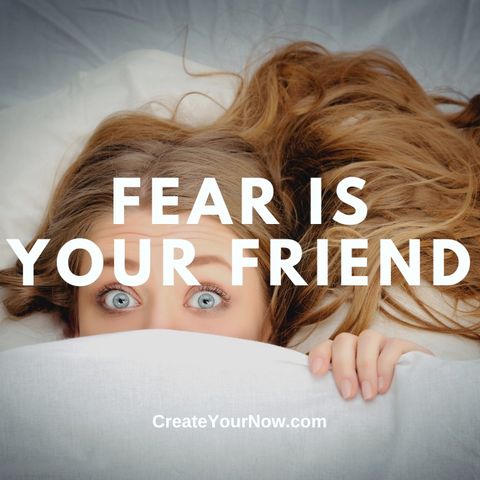 3682 Fear Is Your Friend