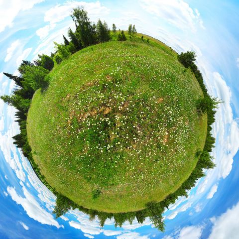 Manoush's Favorites: Circular