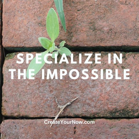 3005 Specialize in the Impossible
