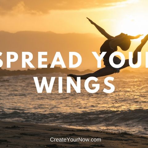 1319 Spread Your WIngs