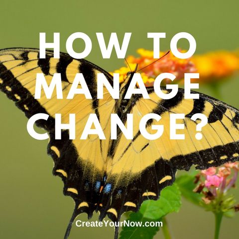 989 How Do You Manage Change?