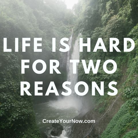 2383 Life is Hard for Two Reasons