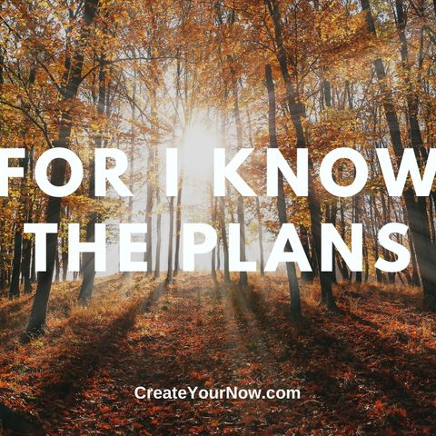 2101 For I Know the Plans