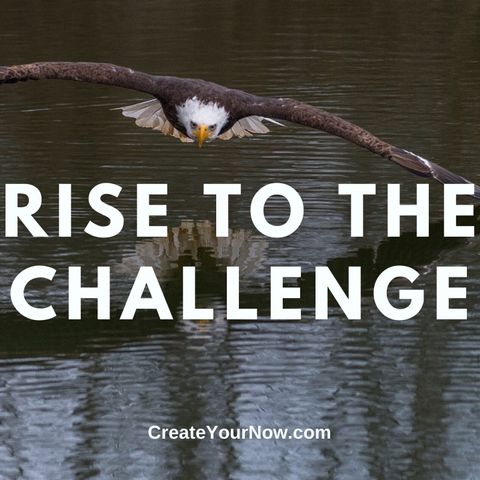 1865 Rise to the Challenge
