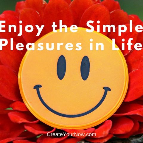 976 Enjoy the Simple Pleasures in Life