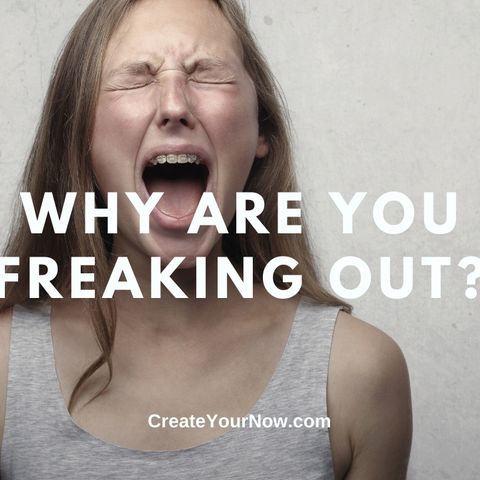 2406 Why Are You Freaking Out?