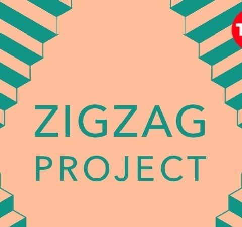 Bonus Episode: ZigZag - The Pulse