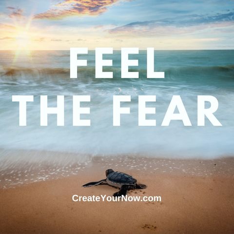 2440 Feel the Fear
