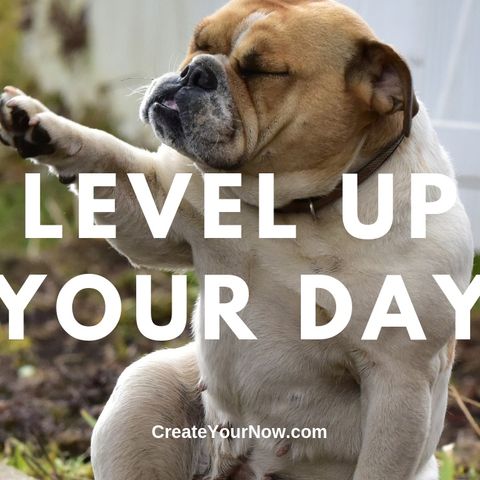 1663 Level Up Your Day