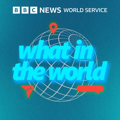 Introducing: What in the World