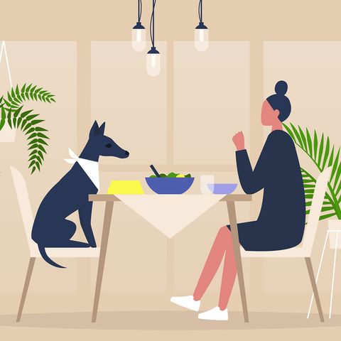 Meditations On Loneliness