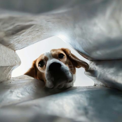 Last unsplash test