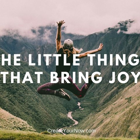 1298 The Little Things that Bring Joy