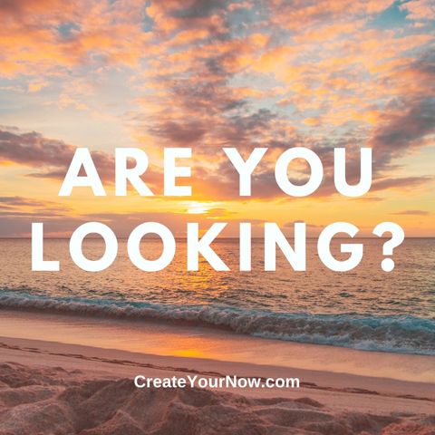 2445 Are You Looking?