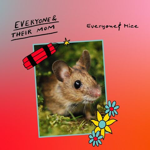 Everyone & Mice