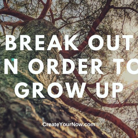 1858 Break Out in Order to Grow Up