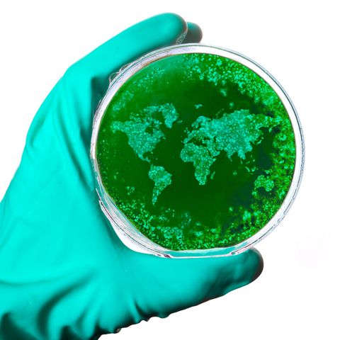 Inoculation