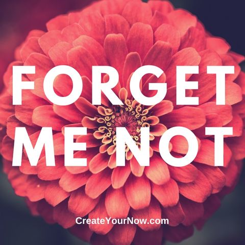 1764 Forget Me Not
