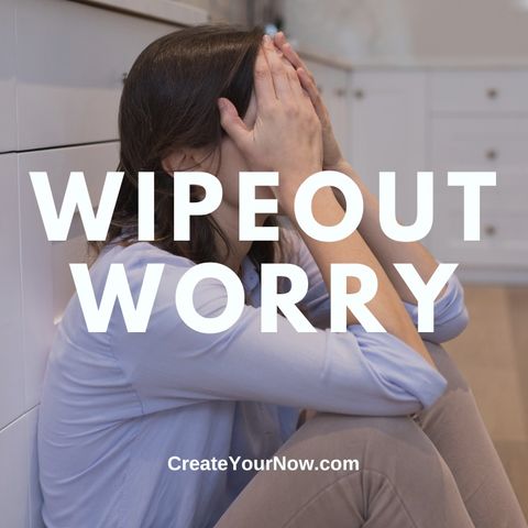 3543 Wipeout Worry