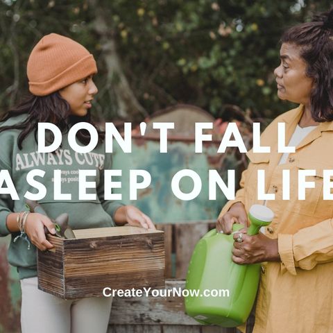 2597 Don't Fall Asleep On Life