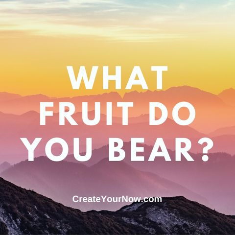 2438 What Fruit Do You Bear?