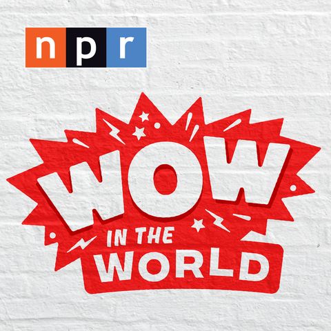 NPR - Guy Raz wow in the world