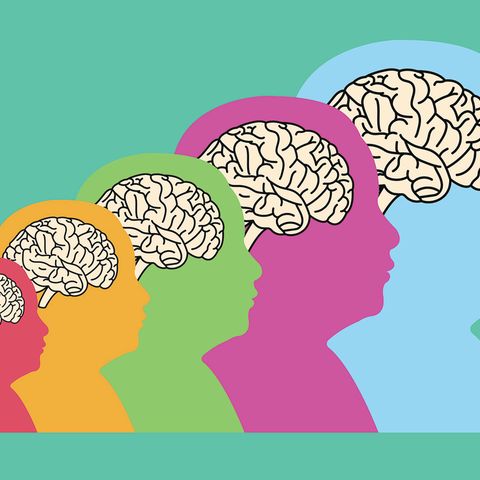 Life Stages Of The Brain (2021)