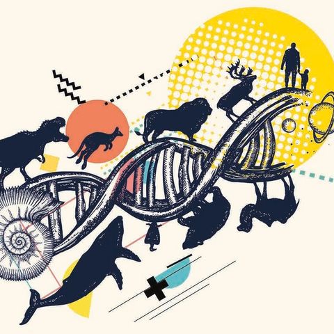 Reshaping Evolution