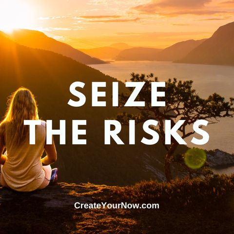 2946 Seize the Risks