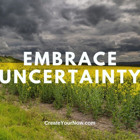 3696 Embrace Uncertainty