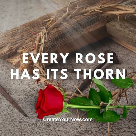 3003 Every Rose Has Its Thorn
